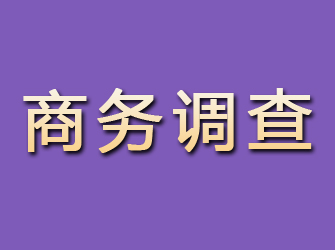 宁河商务调查